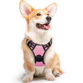 Eagloo dog harness pink front view shows quick wear design for everyday walks