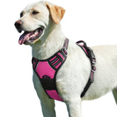 Eagloo dog harness rose red full view for secure walking.