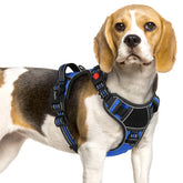 Eagloo dog harness small with three buckles for quick on/off during walks
