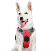 Eagloo XL no-pull back view shows easy control during walks.