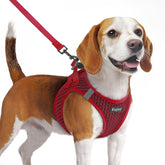 Eagloo red small dog harness front view shows secure fit for daily walks