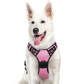 Eagloo large dog harness pink with front and back rings for controlled training