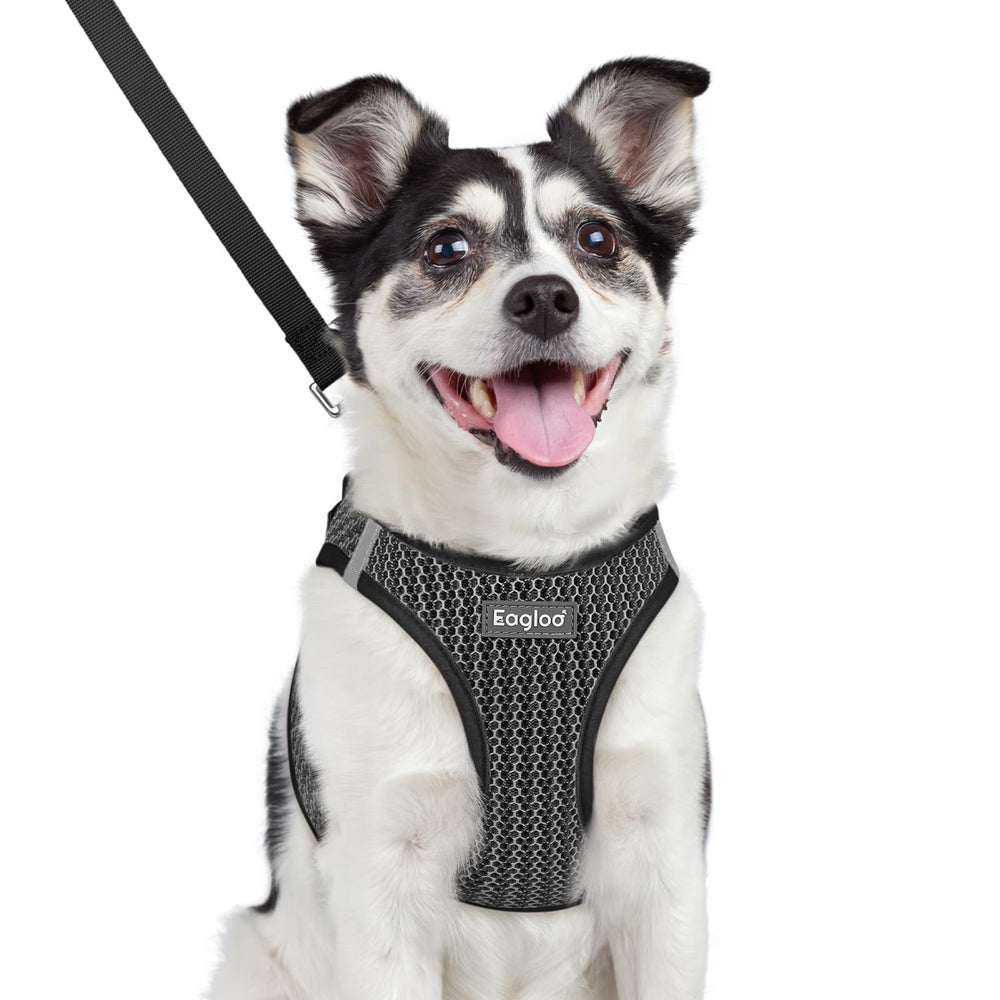 Eagloo small dog harness step-in gray shows easy on-off for busy mornings