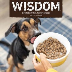 Earth Animal Wisdom Air Dried dog food bowl served highlights easy serving and palatable texture