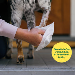 Earth Rated lavender-scented wipes highlighting calming aroma during grooming.