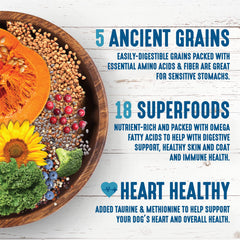 Earthborn Holistic Venture blueberries, kale, spinach and carrots image emphasizing omega-rich superfoods.