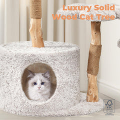 Easyego cat condo with flower platform provides elevated resting spots and visual charm.