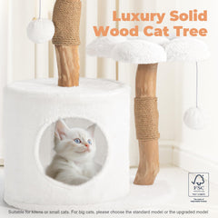 Easyego cat-tree-flower-platforms provides elevated perches for small cats.