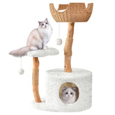 Easyego modern cat tree assembly: sturdy pear wood for climbing and lounging in multi-cat homes