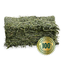 Eaton Pet and Pasture orchard-blend texture close-up for dietary variety.