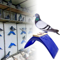 Ecjiuyi loft cage accessory perch with smooth surface protects bird feet during rest.