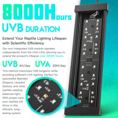 ECKPO Dimmable LED Reptile UVB Lamp cycling modes showcase customizable day-night simulation.