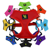 EcoBark Classic Dog Harness escape-proof fit on a dog during outdoor walk