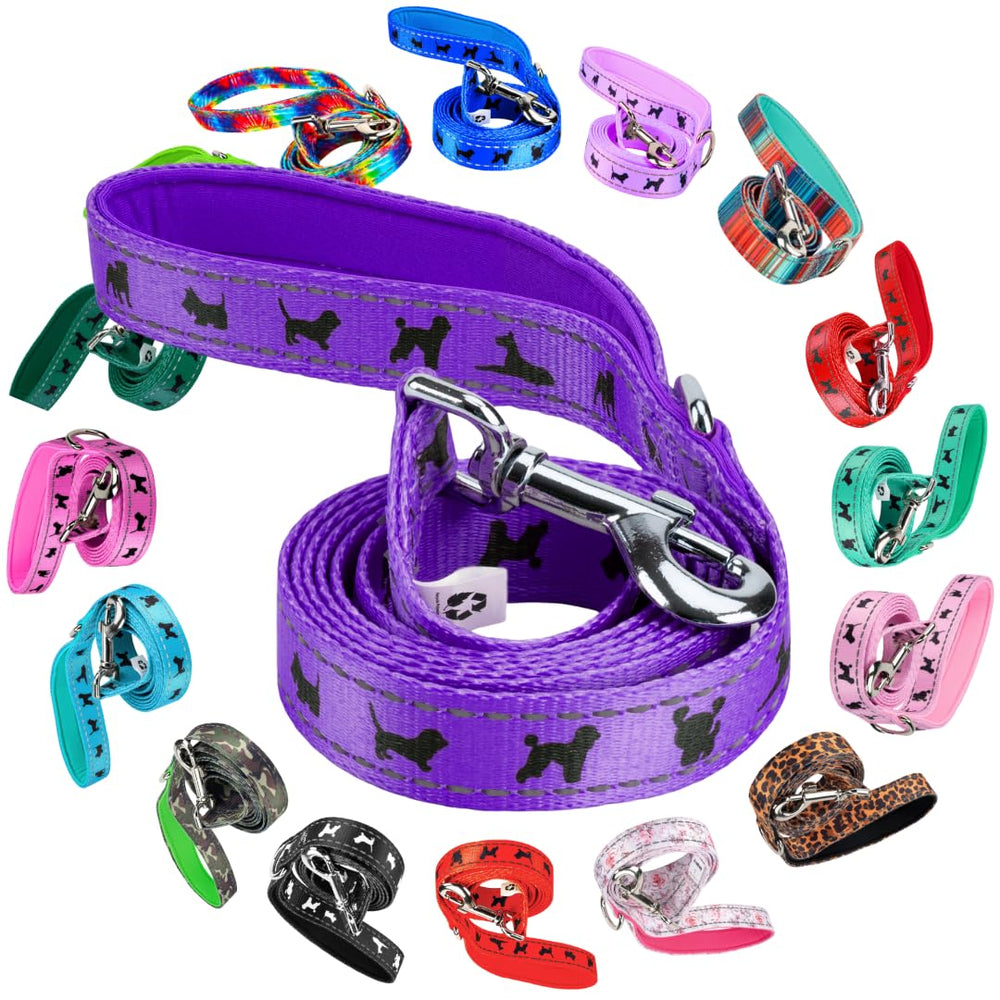 EcoBark dog leash with soft padded handle for comfortable daily walks.