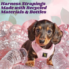 EcoBark Step in dog harness back strap detail for secure everyday wear.