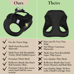 EcoBark Step In harness with reflective trim during dusk walk for visibility.