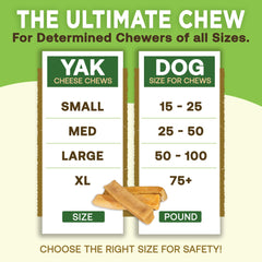 EcoKind Premium Gold Yak Cheese Himalayan Dog Chew lactose removed for sensitive stomachs.