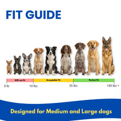 Educator BP-504 worn on dog during outdoor training highlighting stability