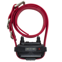 Educator ET-402 waterproof collar ready for rain and outdoor sessions.