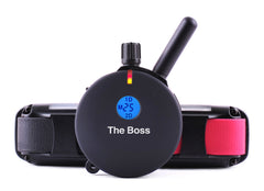 Educator ET-802 waterproof receiver ready for outdoor training sessions.