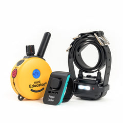 Educator Mini ET-300 remote front view for discreet, comfortable training sessions.