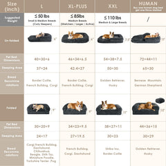 EHEYCIGA Foldable bed on couch showing shared comfort with a pet
