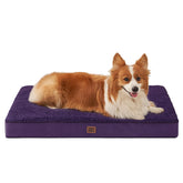 EHEYCIGA orthopedic bed for large dogs in purple showing 35x23 footprint for big lounging