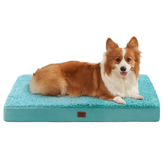 EHEYCIGA orthopedic dog bed in turquoise 35x23 inside a crate for large dogs.