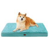 EHEYCIGA orthopedic dog bed in turquoise blue 36x27 for large dogs