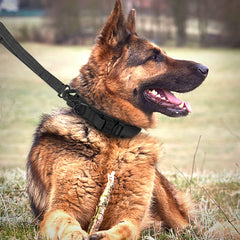Eitchen collar handle closeup: reliable control during training and patrolling.