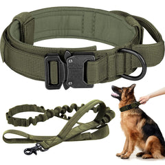 Eitchen Tactical dog collar army green closeup highlights durable 1000D nylon and padded neck protection.