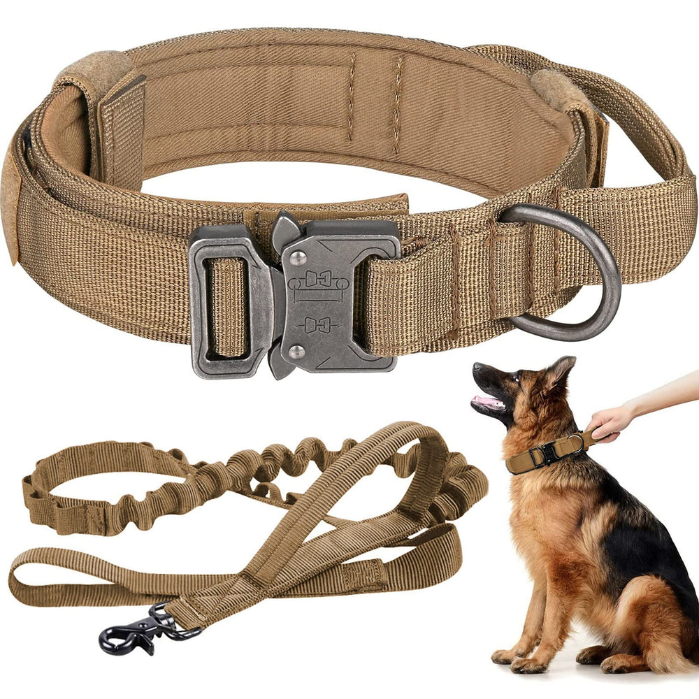 Eitchen tactical dog collar buckle closeup shows durable 1000D nylon and secure hardware for confident control.