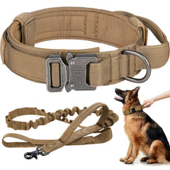 Eitchen tactical dog collar buckle closeup shows durable 1000D nylon and secure hardware for confident control.