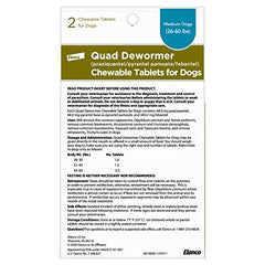 Elanco Quad Dewormer for dogs demonstrates chew-dose administration.