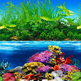ELEBOX 20x48 front seaweed background adds vibrant underwater decor for your fish habitat.
