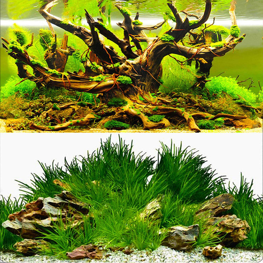ELEBOX fish-tank-background front seaweed pattern enhances realism and hides cords.