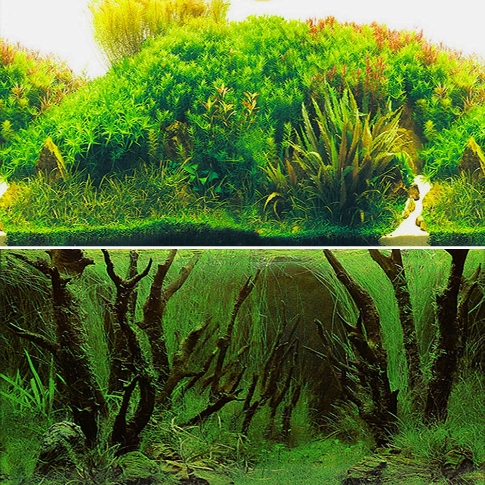 ELEBOX fondo doble cara con algas marinas, mejora la estética y oculta elementos del acuario.