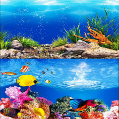ELEBOX seaweed aquarium background front with vivid colors for lifelike tanks.