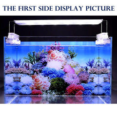 ELEBOX vibrant colors HD image background creates a lifelike aquarium backdrop.