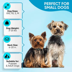 ELECANE collar with 7 sensitivity levels adapts to dog responses