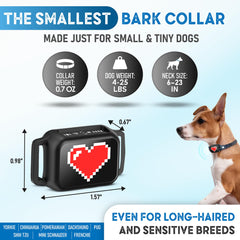 ELECANE bark collar magnetic charging port shown for quick and easy recharging.