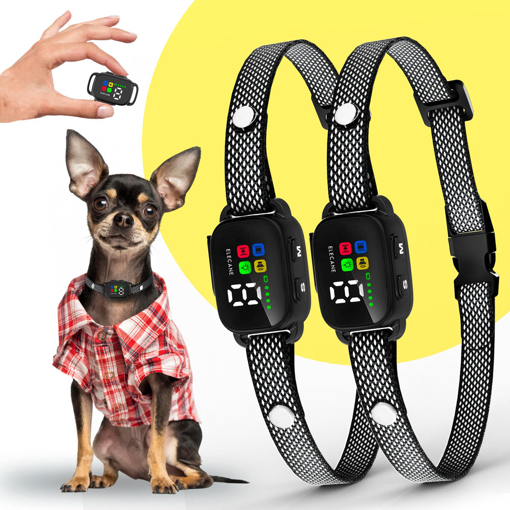 ELECANE bark collar on small-dog neck showing 6-20 inch fit for humane training