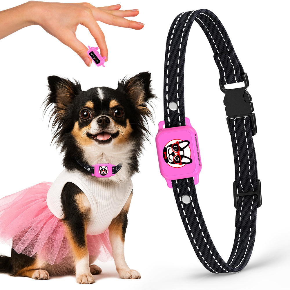 Elecane bark collar small dog pink on neck showcases compact, comfortable design for 5–15 lb dogs.