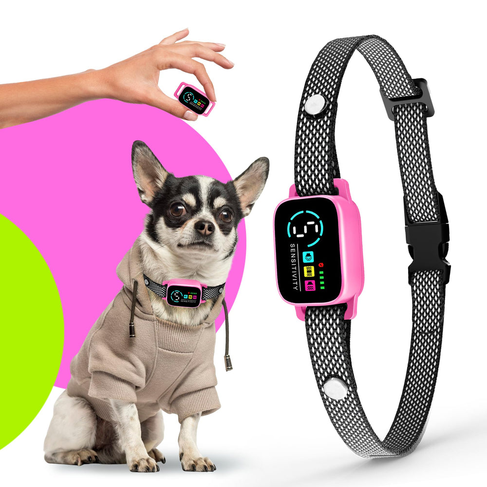 ELECANE bark-collar-small-dogs-pink-strap gentle-training for small dogs.