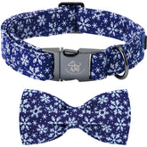 Elegant little tail Christmas collar with blue buckle on a small dog