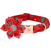 Elegant Little Tail Christmas dog collar with removable flower for festive style