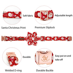 Elegant Little Tail Christmas flower collar on a dog for festive holiday charm.