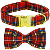 Elegant little tail Christmas collar front view with plaid bow for festive pet style