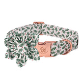 Elegant Little Tail Christmas dog collar with flower adds festive flair for photos.