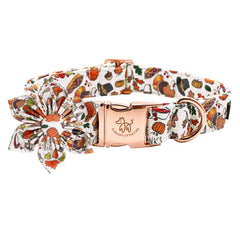 Elegant little tail dog collar with flower fall design, perfect for festive photos